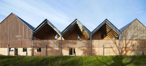 Baunetz, Meldung, Architektur, England, Grobritannien, United Kingdom, Bedales school, Schule, Kunstschule, Art school, Erweiterung, Holz, Wood, Giebel, Feilden Clegg Bradley Studios, FCBS, Petersfield, South Downs Nationalpark, hufton & crow, matthew rice