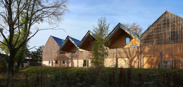 Baunetz, Meldung, Architektur, England, Grobritannien, United Kingdom, Bedales school, Schule, Kunstschule, Art school, Erweiterung, Holz, Wood, Giebel, Feilden Clegg Bradley Studios, FCBS, Petersfield, South Downs Nationalpark, hufton & crow, matthew rice