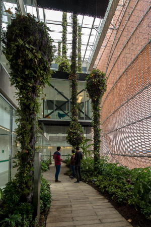 Ampliaci�n Fundaci�n Santa Fe de Bogot�, Santa Fe Foundation, Klinik, Neubau, 2017, Fertigstellung, Krankenhaus, Bogota, Kolumbien, clinic, big building, brick, Backstein, 2017, 2016, Kubus, Andres Valbuena, Alejandro Arango, El Equipo de Mazzanti, Giancarlo Mazzanti,