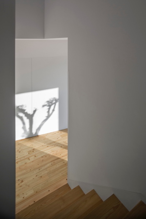 Baunetz, Meldung, Architektur, architecture, 2017, Portugal, Porto, Avanca, Estarreja, nu.ma, Nuno Silva, Villa, Haus, Einfamilienhaus, Gewerbegebiet, house, residential, living, Sichtbeton, Kiste, klar, hart, Kante, concrete, ITS, Ivo Tavares Studio