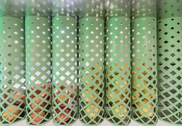 Pastellgrner Saftladen von dongqi architects in Shanghai