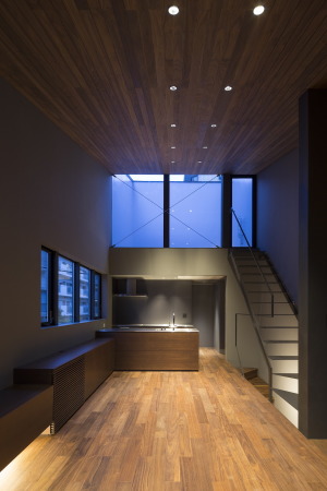 Tokio,Japan, Koto ward, Apollo Architects&Associates, Masao Nishikawa, Einfamilienhaus, Holz, Lamelle, Galvalume, Kleinheit, Kontext, Freiheit