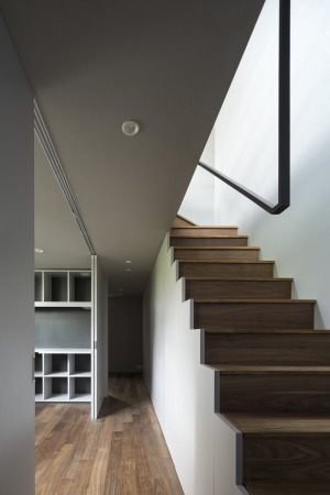 Tokio,Japan, Koto ward, Apollo Architects&Associates, Masao Nishikawa, Einfamilienhaus, Holz, Lamelle, Galvalume, Kleinheit, Kontext, Freiheit