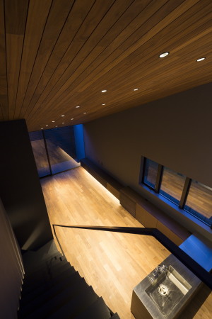 Tokio,Japan, Koto ward, Apollo Architects&Associates, Masao Nishikawa, Einfamilienhaus, Holz, Lamelle, Galvalume, Kleinheit, Kontext, Freiheit