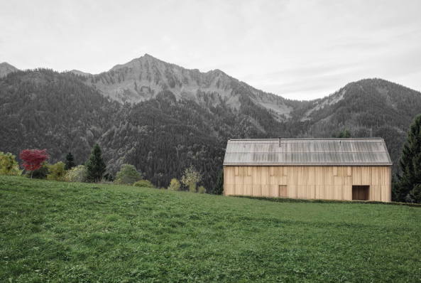 haus des jahres, häuser, jahres, des, einfamilienhaus, wohnhaus, eberle, architekten, reuter raeber, studiorauch, Pavol Mikolajcak, Bozen, münchen, katharina matzig, Holzer Kobler, Architekturen, Jürgen Haller, Mellau, berlin, LP architektur, flachsbarth schultz, callwey, bernardo bader, zürich, 2017, dam, deutsches architekturmuseum, frankfurt, am main