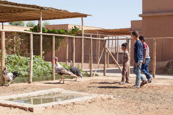 Baunetz, Meldungen, Architektur, Projekte, ZRS Architekten, Ziegert Roswag Seiler, TU Berlin, Jiyan Healing Garden, Chamchamal, Kurdistan, Irak, Jiyan Foundation for HumanRights, Therapiezentrum, Zentrum fr tiergesttzte Therapie, Traumazentrum, Traumabehandlung, Heilgarten, erster Bauabschnitt, Lehm, Uni Weimar, Campus Masters