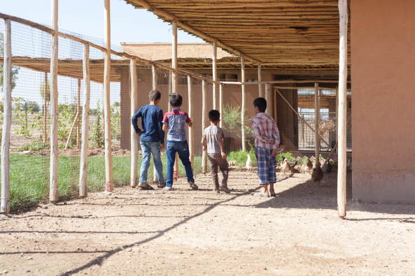 Baunetz, Meldungen, Architektur, Projekte, ZRS Architekten, Ziegert Roswag Seiler, TU Berlin, Jiyan Healing Garden, Chamchamal, Kurdistan, Irak, Jiyan Foundation for HumanRights, Therapiezentrum, Zentrum fr tiergesttzte Therapie, Traumazentrum, Traumabehandlung, Heilgarten, erster Bauabschnitt, Lehm, Uni Weimar, Campus Masters