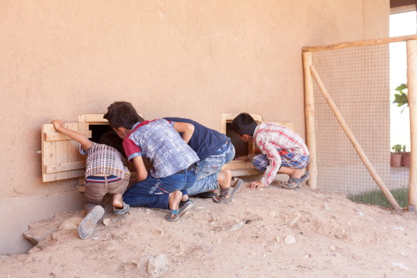 Baunetz, Meldungen, Architektur, Projekte, ZRS Architekten, Ziegert Roswag Seiler, TU Berlin, Jiyan Healing Garden, Chamchamal, Kurdistan, Irak, Jiyan Foundation for HumanRights, Therapiezentrum, Zentrum fr tiergesttzte Therapie, Traumazentrum, Traumabehandlung, Heilgarten, erster Bauabschnitt, Lehm, Uni Weimar, Campus Masters