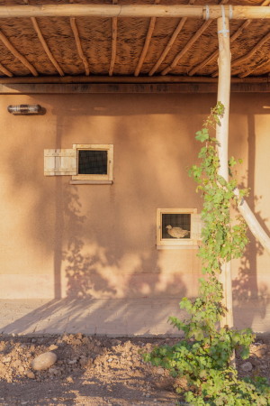 Baunetz, Meldungen, Architektur, Projekte, ZRS Architekten, Ziegert Roswag Seiler, TU Berlin, Jiyan Healing Garden, Chamchamal, Kurdistan, Irak, Jiyan Foundation for HumanRights, Therapiezentrum, Zentrum fr tiergesttzte Therapie, Traumazentrum, Traumabehandlung, Heilgarten, erster Bauabschnitt, Lehm, Uni Weimar, Campus Masters