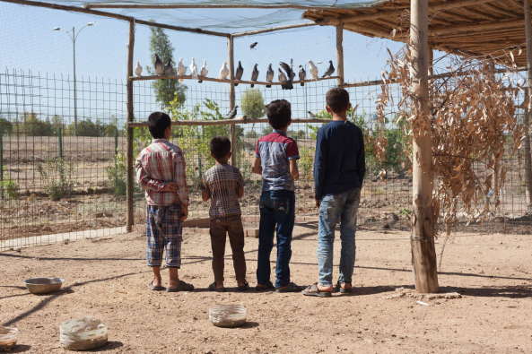 Baunetz, Meldungen, Architektur, Projekte, ZRS Architekten, Ziegert Roswag Seiler, TU Berlin, Jiyan Healing Garden, Chamchamal, Kurdistan, Irak, Jiyan Foundation for HumanRights, Therapiezentrum, Zentrum fr tiergesttzte Therapie, Traumazentrum, Traumabehandlung, Heilgarten, erster Bauabschnitt, Lehm, Uni Weimar, Campus Masters