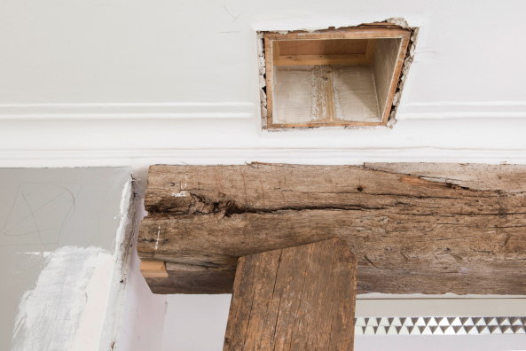 Baunetz, Architektur, architekture, Stuttgart, Deutschland, Baden-Wrtemberg, Schwaben, Wohnen, experiment, experimenteller Wohnungsbau, SFP, SFP Architekten, Andrea Riedlinger, Zeitkapsel, Sarah Weiselowski, Anja Thierfelder