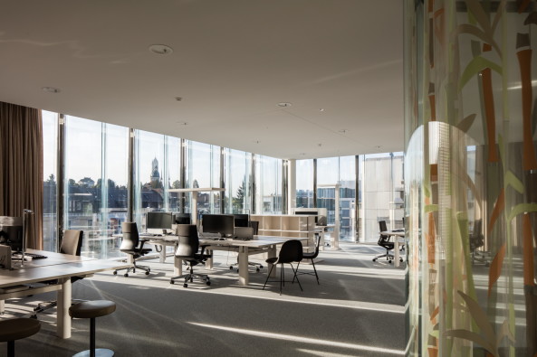 Swiss Re von Diener & Diener am Zrichsee