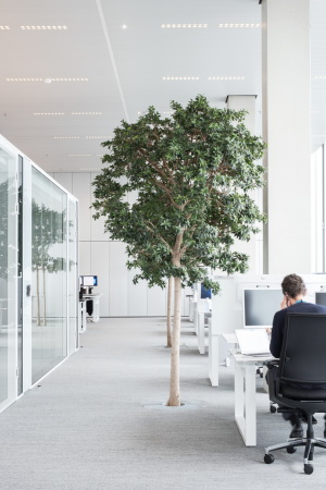 Bepflanzung am Arbeitsplatz