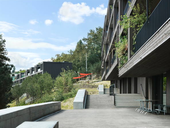 Buchner Brndler Architekten, Tichestrasse, Zrich, Wohnen, Holz, Wohnungsbau, Schweiz
