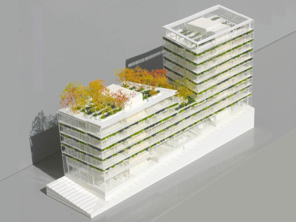 Atelier Kempe Thill plant Brogebude in Paris