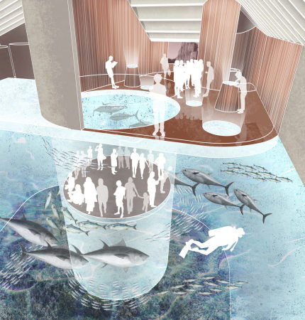 Meeresmuseum, Reichel Schlaier Architekten, Trapez Architektur mit CEBRA Architecture, HPP, Dr. Krekeler, Wettbewerb, Kloster