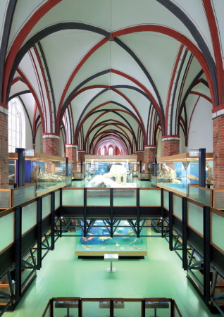 Meeresmuseum, Reichel Schlaier Architekten, Trapez Architektur mit CEBRA Architecture, HPP, Dr. Krekeler, Wettbewerb, Kloster