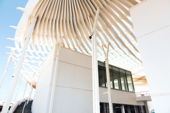 Markthalle, market, Fisch, Oman, Firas Al Raisi, Luminosity Productions, Matrah, Maskat, Sonnenschutz, canopy