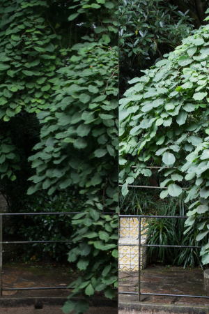 Porto, Portugal, Sao Paulo Biennale, depA, Pavillon, Serralves, Alvaro Siza