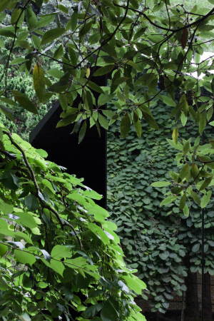 Porto, Portugal, Sao Paulo Biennale, depA, Pavillon, Serralves, Alvaro Siza