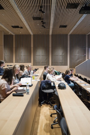 Kopenhagen, Hochhaus, CF Moller, CF Mller, Maersk Tower, Panum Komplex