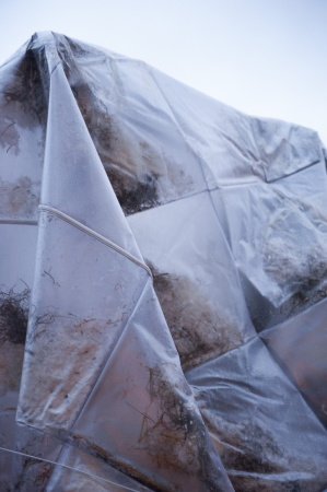 Hibernation, Linda Kuhn, Alvaro Urbano, Winterschlaf, Brenzwinger, Kunstausstellung, Berlin