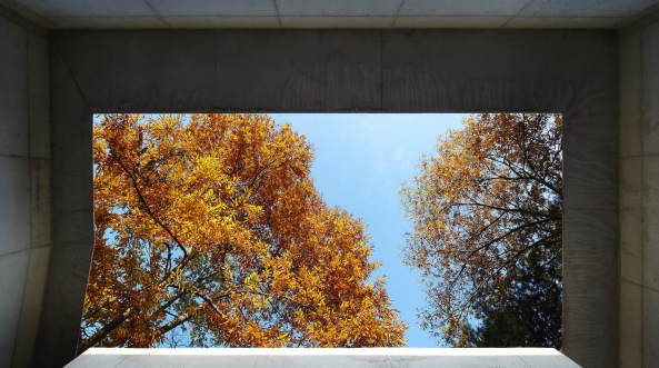 JHW IROJE Architects, S�dkorea, Hyo-won Jung, Wohnen, Materialien, Natur