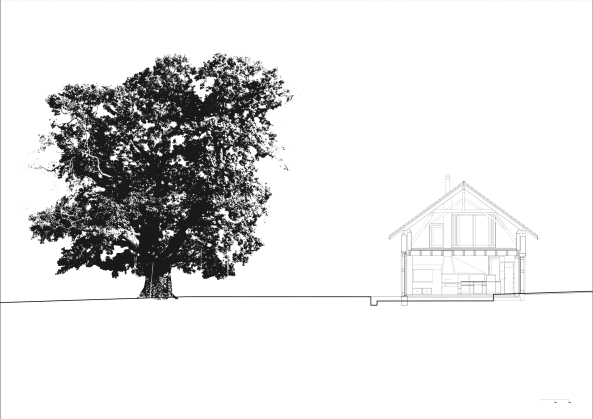 Wohnen, Gemeinschaftswohnen, Stahl, Holz, Presshaus, Umbau