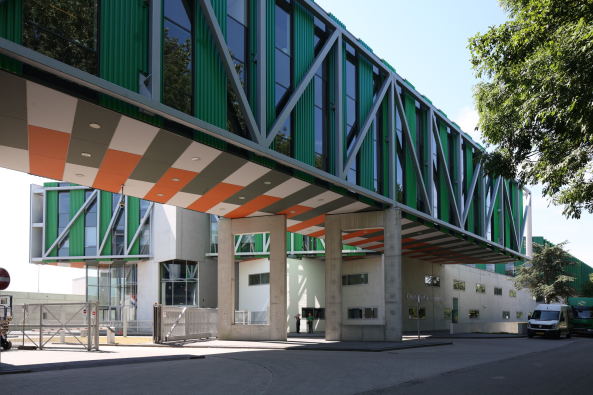 Grne Elemente kontrastrieren mit grauem Beton am Haupteingang.