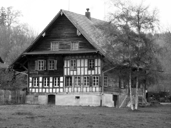 Wohnbau, Ausbau, Umnutzung, Andreas Pizza