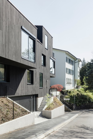 Wohnungsbau, Fassaden, Holzlamellen, Igual&Guggenheim