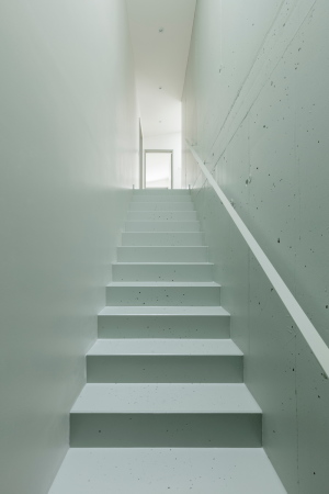 Wohnungsbau, Fassaden, Holzlamellen, Igual&Guggenheim