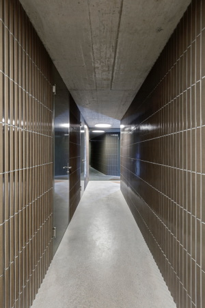 Wohnungsbau, Fassaden, Holzlamellen, Igual&Guggenheim