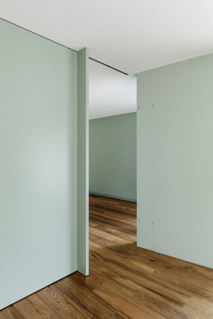 Wohnungsbau, Fassaden, Holzlamellen, Igual&Guggenheim