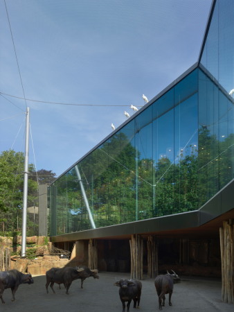 Erweiterung, Anbau, Zoo Antwerpen, Studio Farris, Savanne Restaurant