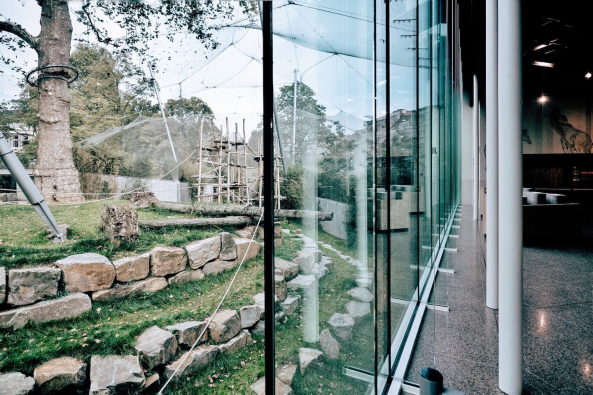 Erweiterung, Anbau, Zoo Antwerpen, Studio Farris, Savanne Restaurant