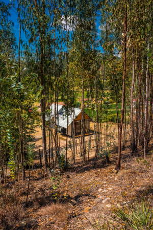 Wohnen, Fertigteilhaus, Germ�n Ricardo Camacho Barrera