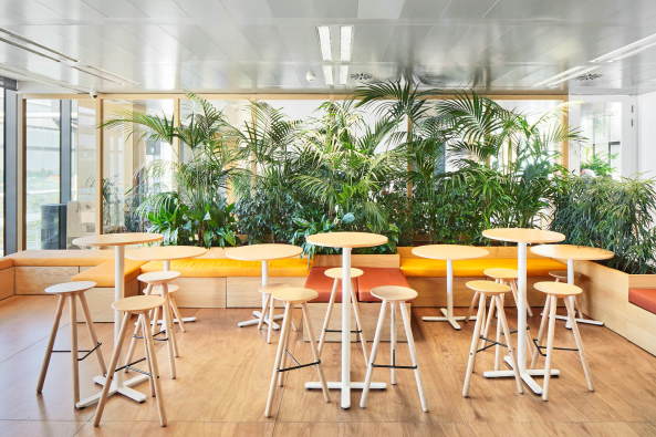 Jorge Vidal, Groraumbro, Bro, Fitnessraum, Arbeitsathmosphre, Madrid, Firmenstandort, Arbeiten