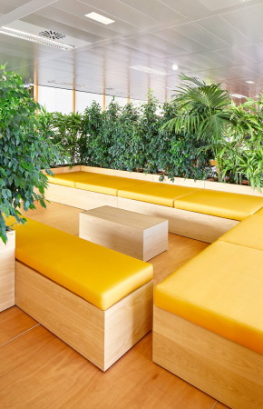 Jorge Vidal, Groraumbro, Bro, Fitnessraum, Arbeitsathmosphre, Madrid, Firmenstandort, Arbeiten