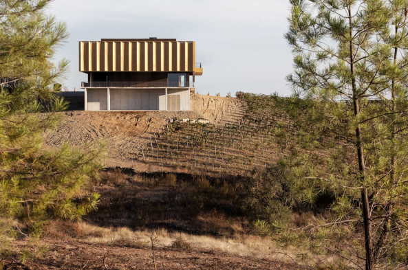 Portugal, 2017, Atelier RUA, Adega 23, Weingut, winery