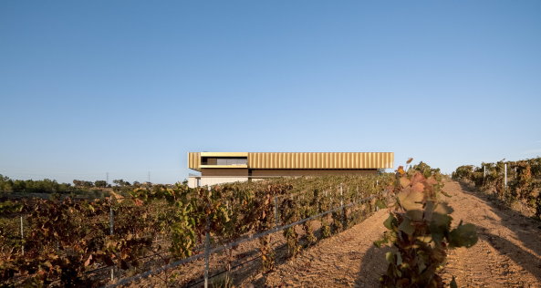 Portugal, 2017, Atelier RUA, Adega 23, Weingut, winery