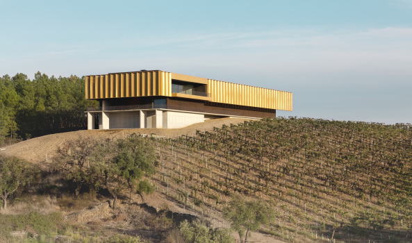 Portugal, 2017, Atelier RUA, Adega 23, Weingut, winery