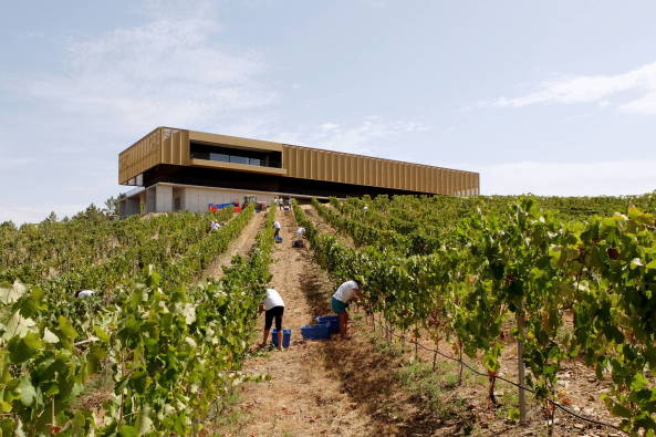 Portugal, 2017, Atelier RUA, Adega 23, Weingut, winery
