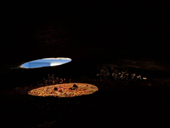 Im Inneren des Tarnkappenbombers ist ein duftender Kr�utergarten zu entdecken, Foto: Stephan Becker