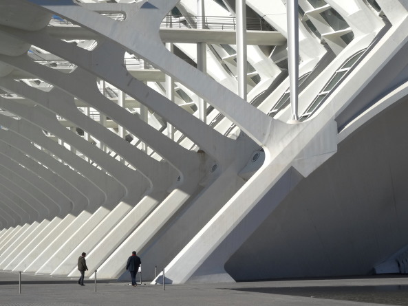 Calatravas Ciutat de les Arts i les Cincies in Valencia