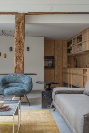 Patio, Wohnung, Paris, Guillaume Terver, Umbau, Holzeinbauten