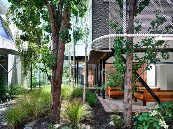 Austin Maynard Architects, Melbourne, Fitzroy, King Bill, Pavillon
