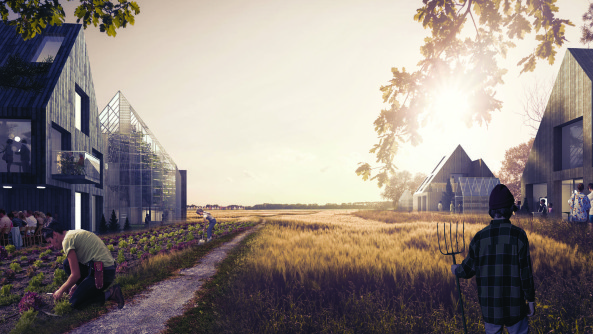 Kulturlandschaft am Billwerder Billdeich mit kodorf