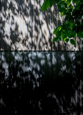 Probebhne von Reed Watts Architects