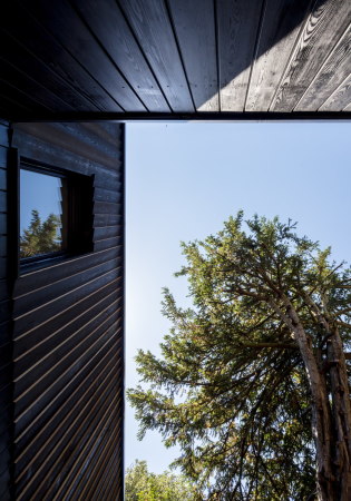 Probebhne von Reed Watts Architects